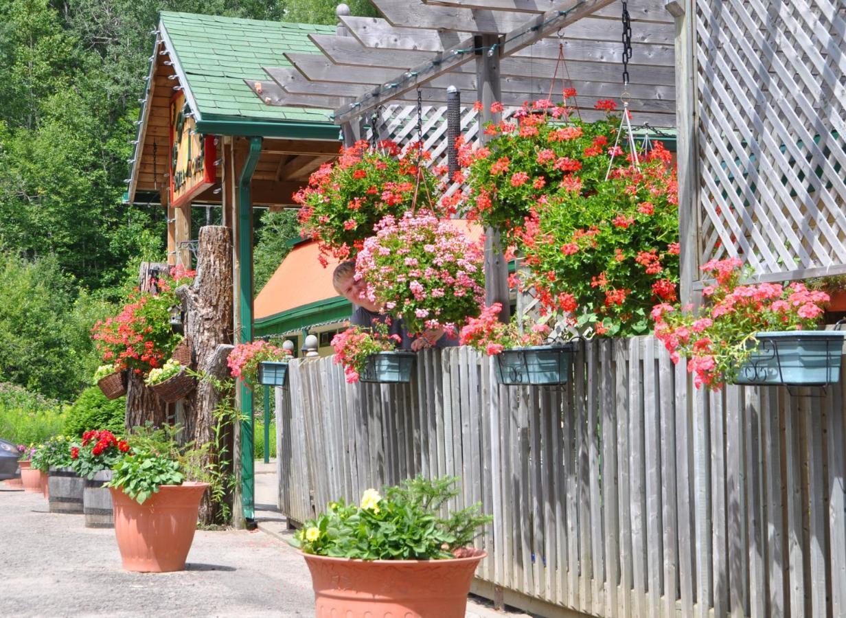 Le Boise Du Lac Mont-Tremblant Ngoại thất bức ảnh
